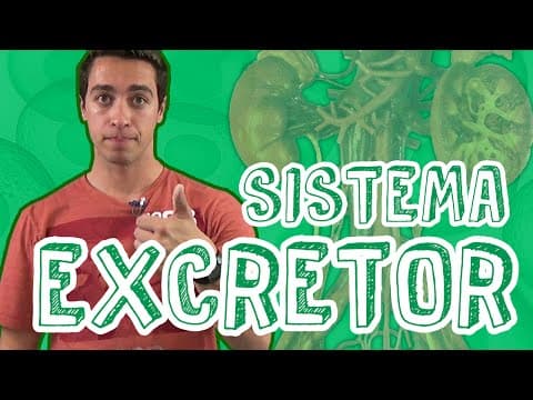 Thumbnail da aula: Aula Biologia - Fisiologia Animal - Sistema Excretor para o Enem e Vestibulares - STOODI
