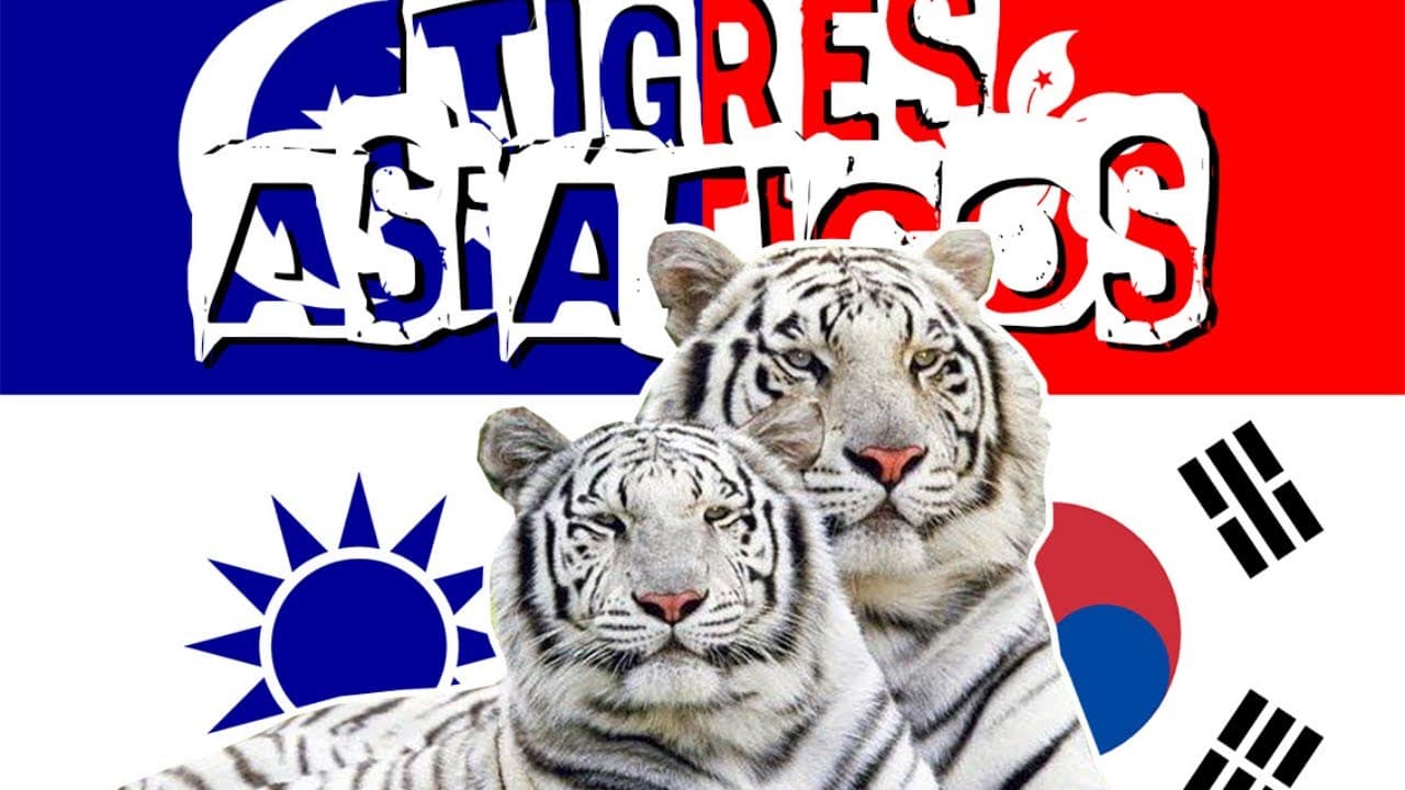 Thumbnail: NOVA ORDEM MUNDIAL: OS TIGRES ASIÁTICOS E OS NOVOS TRIGRES