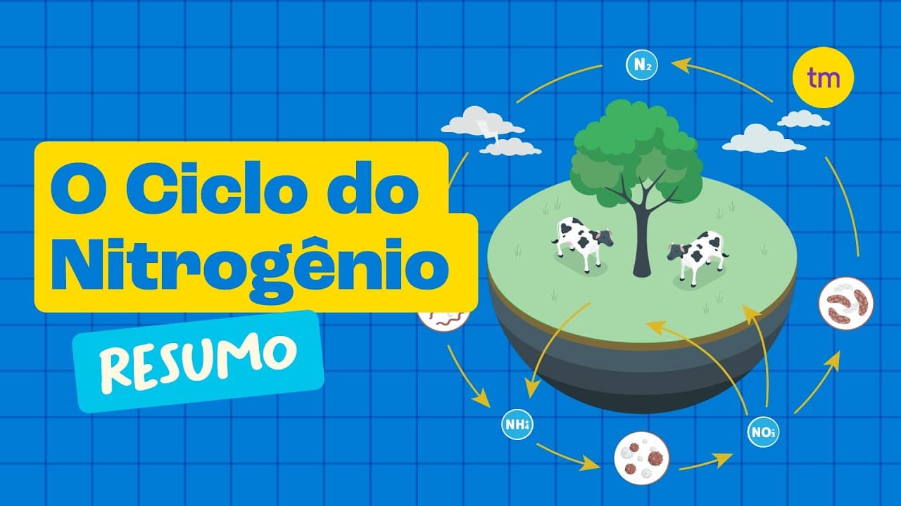 Thumbnail: CICLO DO NITROGÊNIO | Como Funciona?
