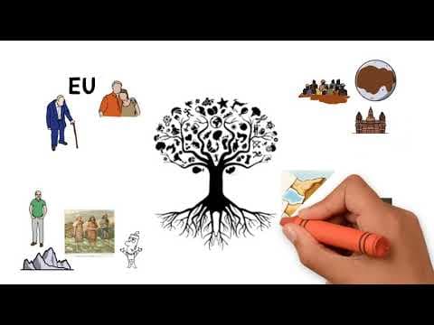 Thumbnail da aula: ANCESTRAL COMUM NA TEORIA CRIACIONISTA E EVOLUCIONISTA