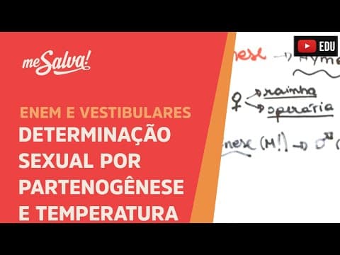 Thumbnail da aula: Me Salva! GEN19 - Genética - Determinação sexual por partenogênese e temperatura