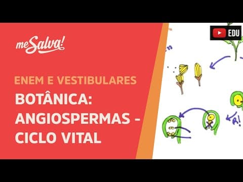 Thumbnail da aula: Me Salva! BOT11 - Botânica - Angiospermas: Ciclo Vital