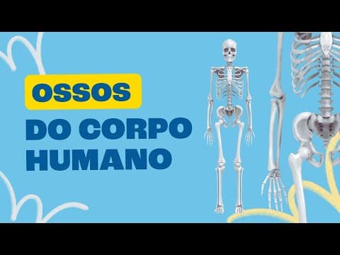 Thumbnail da aula: Ossos do Corpo Humano - Toda Matéria