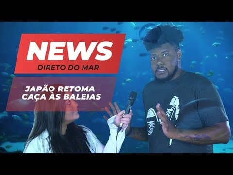 Thumbnail da aula: ATUALIDADES ENEM 2019: Japão retoma caça às baleias | Me Salva News