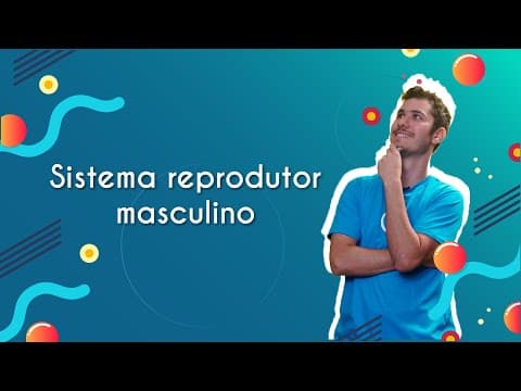 Thumbnail da aula: Sistema reprodutor masculino - Brasil Escola
