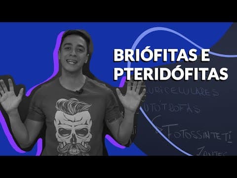 Thumbnail da aula: Stoodi | Pocket Aula: Biologia - Briófitas e Pteridófitas