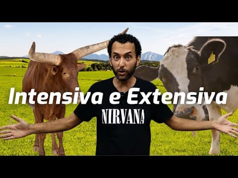 Thumbnail da aula: O que é criação INTENSIVA e EXTENSIVA | GEOGRAFIA |
