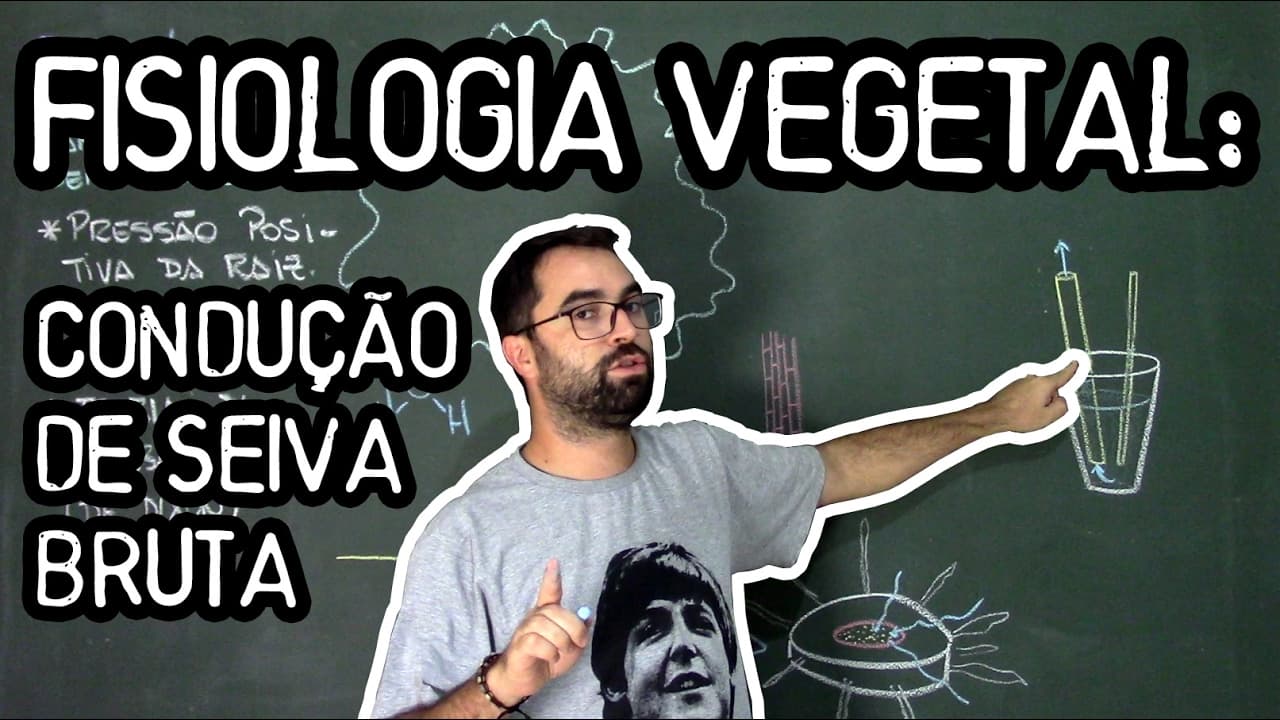 Thumbnail: Condução de Seiva Bruta - Fisiologia Vegetal - Aula 24: Botânica (Prof. Guilherme)