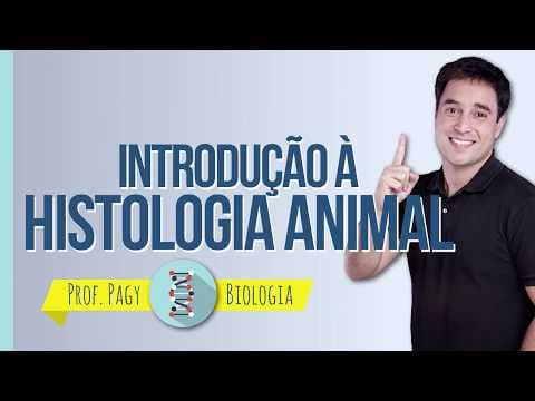Thumbnail da aula: Introdução à Histologia Animal - prof. Pagy - Biologia