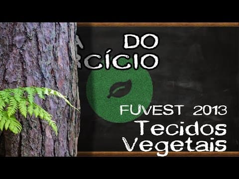 Thumbnail da aula: Tecidos vegetais - FUVEST 2013