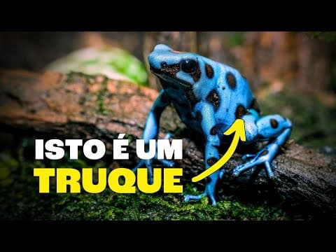 Thumbnail da aula: Não Existem Animais e Plantas Azuis?