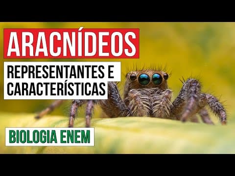 Thumbnail da aula: ARACNÍDEOS: representantes e características | Biologia para o Enem | Cláudia de Souza Aguiar