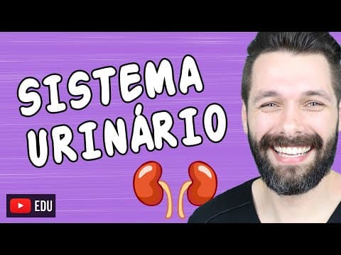 Thumbnail da aula: ÓRGÃOS DO SISTEMA URINÁRIO | Biologia com Samuel Cunha