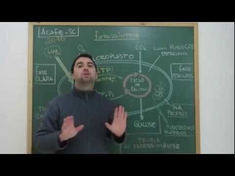 Thumbnail da aula: Revisão para a ACAFE 2016: Fotossíntese (Prof. Guilherme)