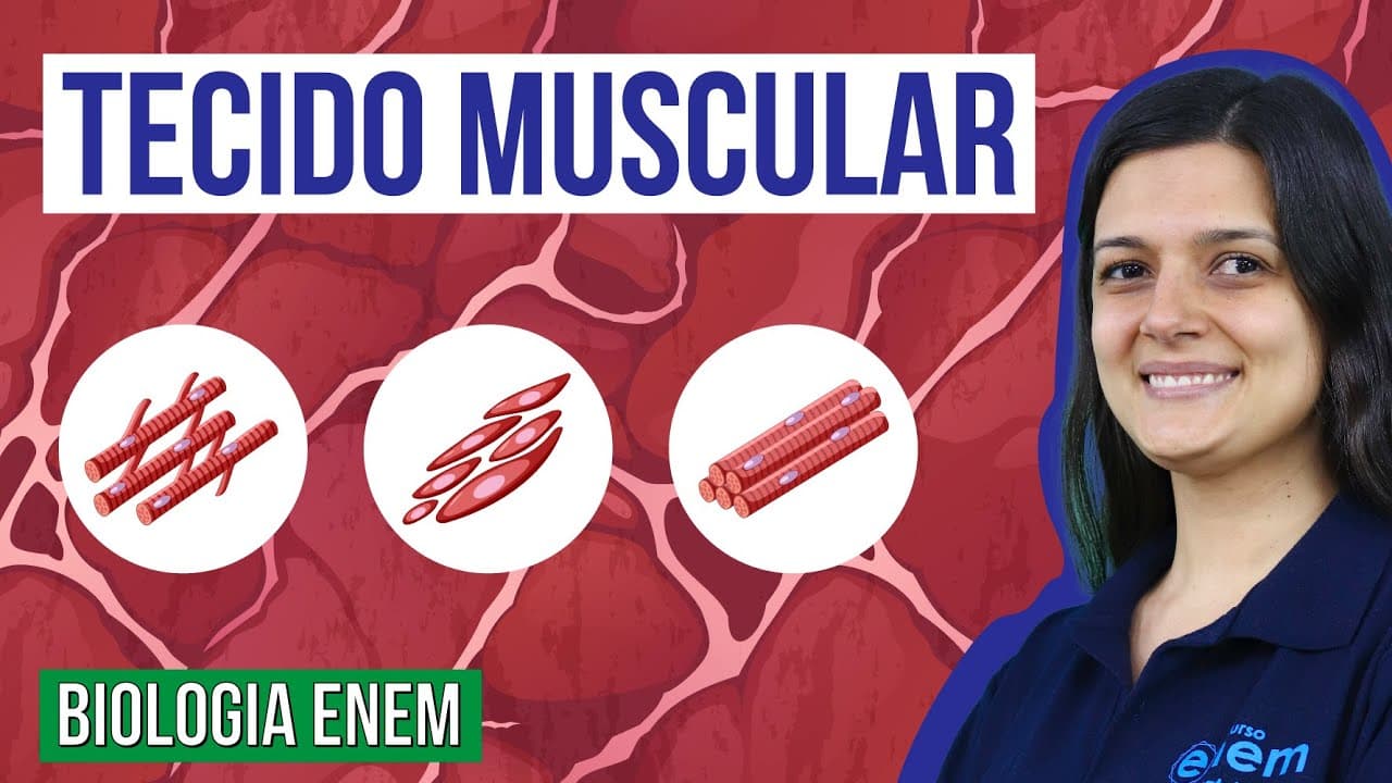 Thumbnail: TECIDO MUSCULAR: Tipos, características e funções | Resumo de Biologia para o Enem