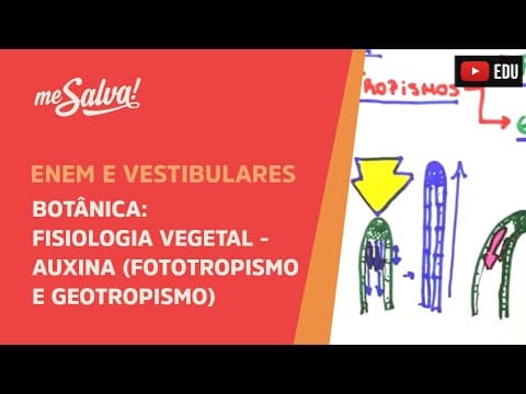 Thumbnail da aula: Me Salva! BOT31 - Botânica - Fisiologia vegetal: Auxina (fototropismo e geotropismo)