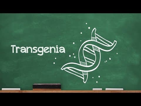 Thumbnail da aula: Videoaulas Poliedro | Enem | Transgenia
