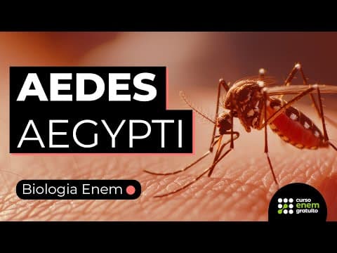 Thumbnail da aula: A DENGUE E O AEDES AEGYPTI | DOENÇAS TRANSMITIDAS PELO MOSQUITO | BIOLOGIA