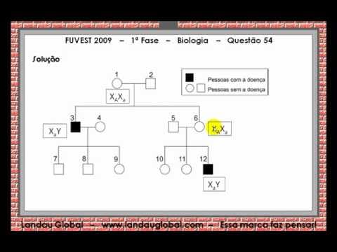 Thumbnail da aula: USP_2009_BIO_P1_Q54