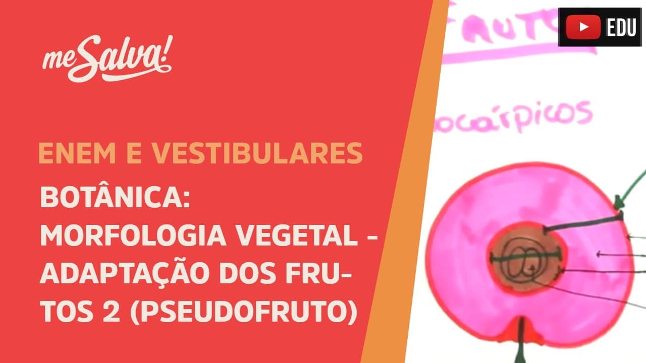 Thumbnail: Me Salva! BOT45 - Botânica - Morfologia vegetal: adaptações dos frutos II (Pseudofrutos)