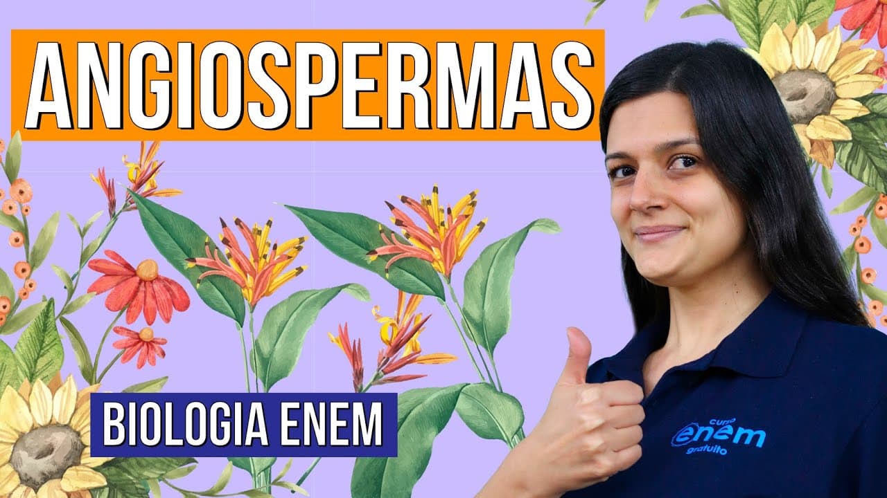 Thumbnail: ANGIOSPERMAS: veja as características destas plantas. RESUMO DE BIOLOGIA ENEM. Profa Claudia Aguiar
