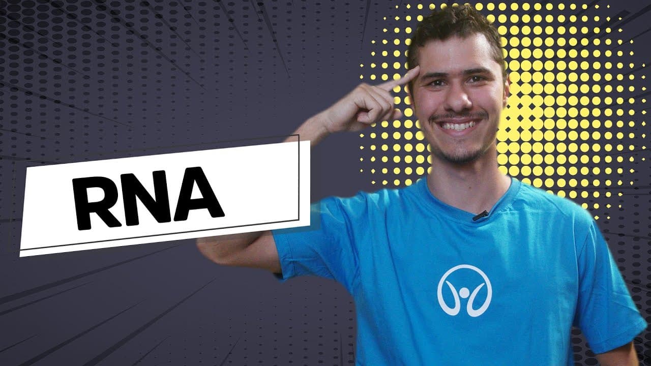 Thumbnail: RNA | Ácidos Nucleicos - Brasil Escola