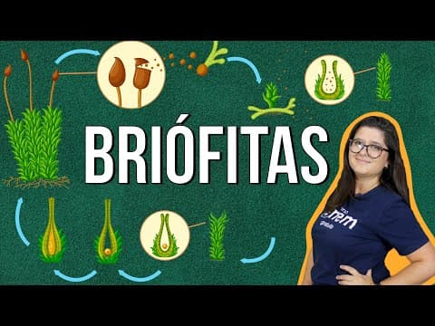 Thumbnail da aula: BRIÓFITAS: tipos, características e reprodução. RESUMO DE BIOLOGIA ENEM. Profe Juliana Evelyn Santos
