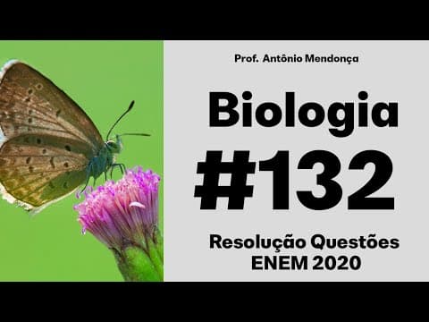 Thumbnail da aula: ENEM 2020 - Megaespetáculos com queima de grande quantidade de fogos de artifício em festas de final
