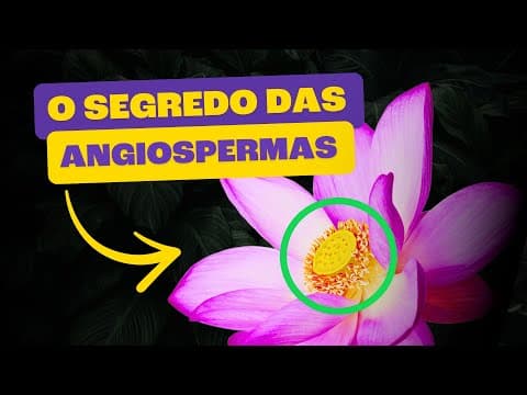 Thumbnail da aula: Angiospermas | As Plantas que Dominaram O Mundo!