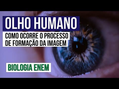 Thumbnail da aula: OLHO HUMANO: como ocorre o processo de formação da imagem? | Biologia para o Enem | Cláudia Aguiar