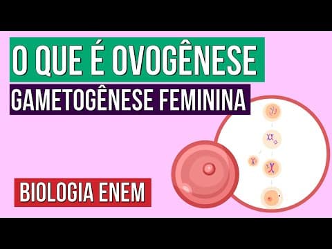Thumbnail da aula: GAMETOGÊNESE FEMININA: o que é ovogênese | Resumo de Biologia para o Enem | Cláudia de Souza Aguiar
