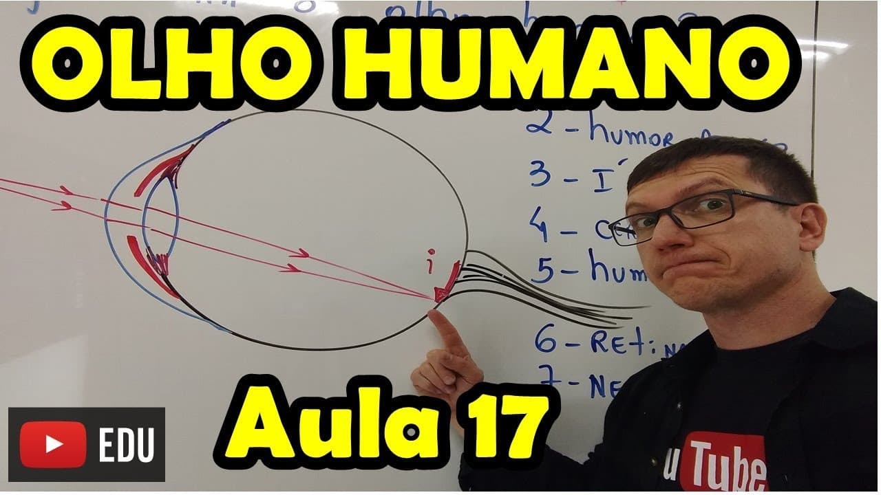 Thumbnail: O Olho Humano: Estrutura, Formação da Imagem e Fotorreceptores