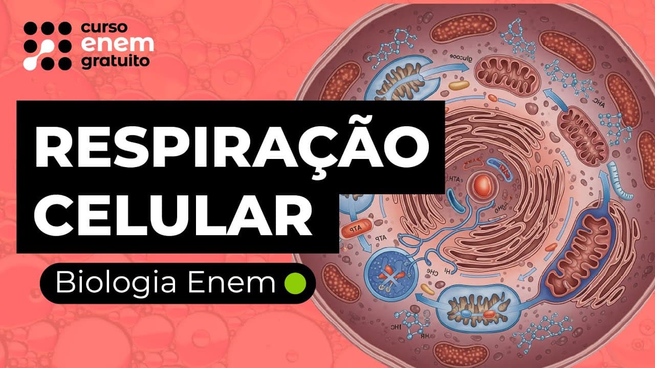 Thumbnail: RESPIRAÇÃO CELULAR | Biologia para o Enem | Cláudia de Souza Aguiar