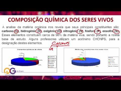 Thumbnail da aula: Biologia: Seres Vivos - ENEM