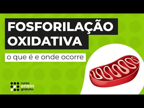 Thumbnail da aula: FOSFORILAÇÃO OXIDATIVA: o que é e onde ocorre | Biologia para o Enem | Cláudia de Souza Aguiar