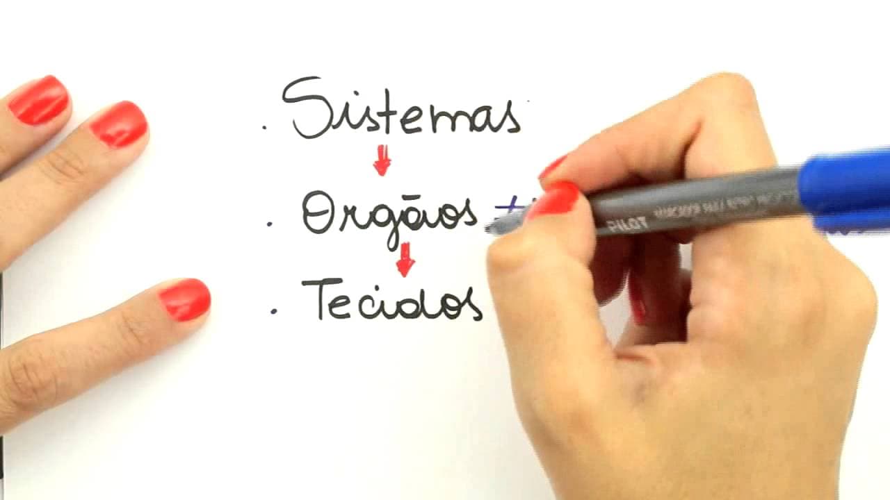 Thumbnail: Me Salva! Extensivo de Biologia - FHA01 - Introdução à Fisiologia