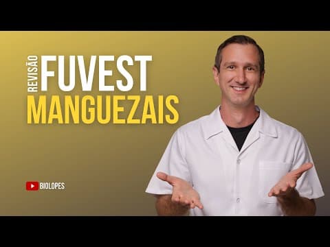 Thumbnail da aula: FUVEST 2023 - O Brasil possui a segunda maior área de cobertura de manguezais do globo - BIOLOPES
