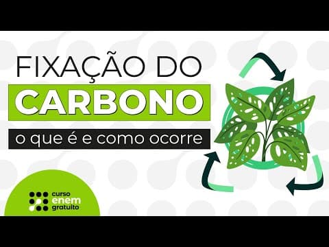 Thumbnail da aula: FIXAÇÃO DO CARBONO: o que é e como ocorre | Biologia para o Enem | Cláudia Aguiar