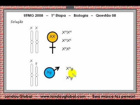 Thumbnail da aula: UFMG_2008_BIO_P1_Q08