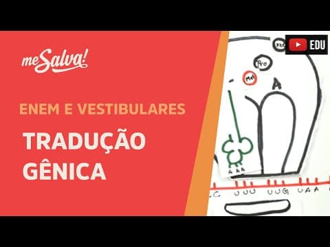 Thumbnail da aula: Me Salva! GEN07 - Genética - Tradução gênica