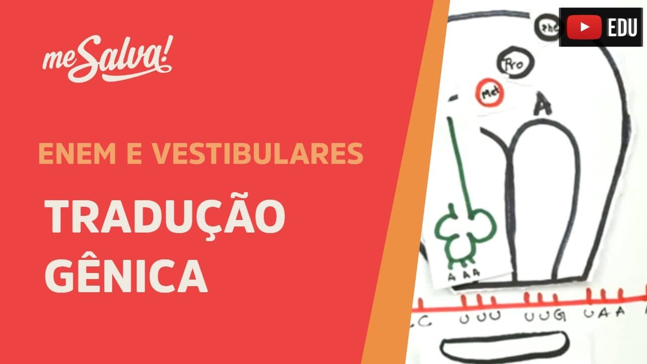 Thumbnail: Me Salva! GEN07 - Genética - Tradução gênica