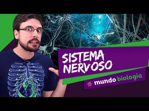 Thumbnail da aula: 👩⚕️ Fisiologia (1/8): Sistema Nervoso - Biologia - ENEM