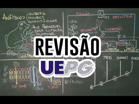 Thumbnail da aula: Revisão de Biologia UEPG! Vestibular de inverno 2017