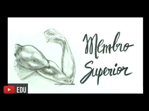 Thumbnail da aula: Me Salva! Ciências da Saúde - SMES01 - Introdução ao Membro Superior