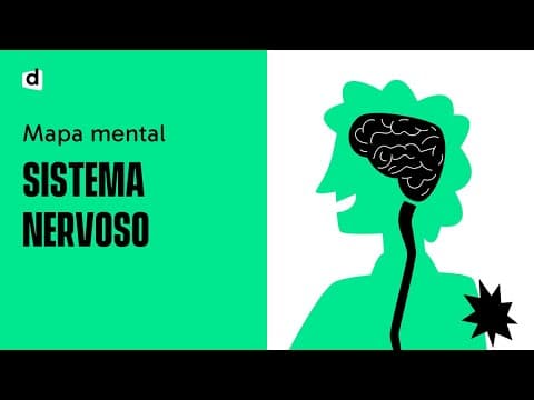 Thumbnail da aula: O QUE É SISTEMA NERVOSO?! 🤔 | Quer Que Desenhe