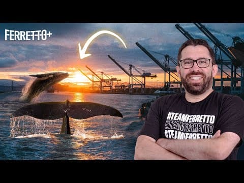 Thumbnail da aula: Qual a relação entre as baleias e o petróleo? | Ferretto+