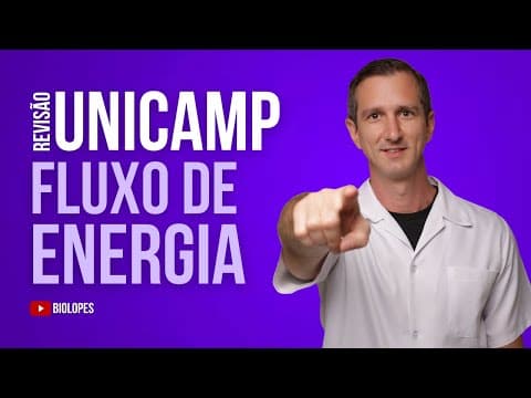 Thumbnail da aula: UNICAMP 2023 - As relações ecológicas podem ser representadas por modelos de fluxo de energia