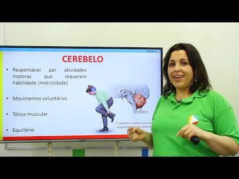 Thumbnail da aula: Biologia - Sistema Nervoso Central: Cerebelo e Tronco Encefálico