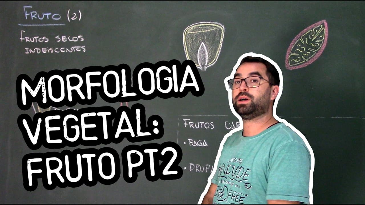 Thumbnail: Organologia do Fruto (Morfologia) pt2 - Aula 21: Botânica (Prof. Guilherme)