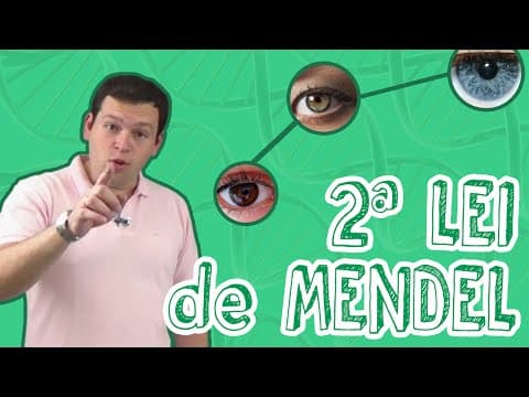 Thumbnail da aula: Aula Biologia - Genética - 2ª Lei de Mendel para o Enem e Vestibulares - STOODI